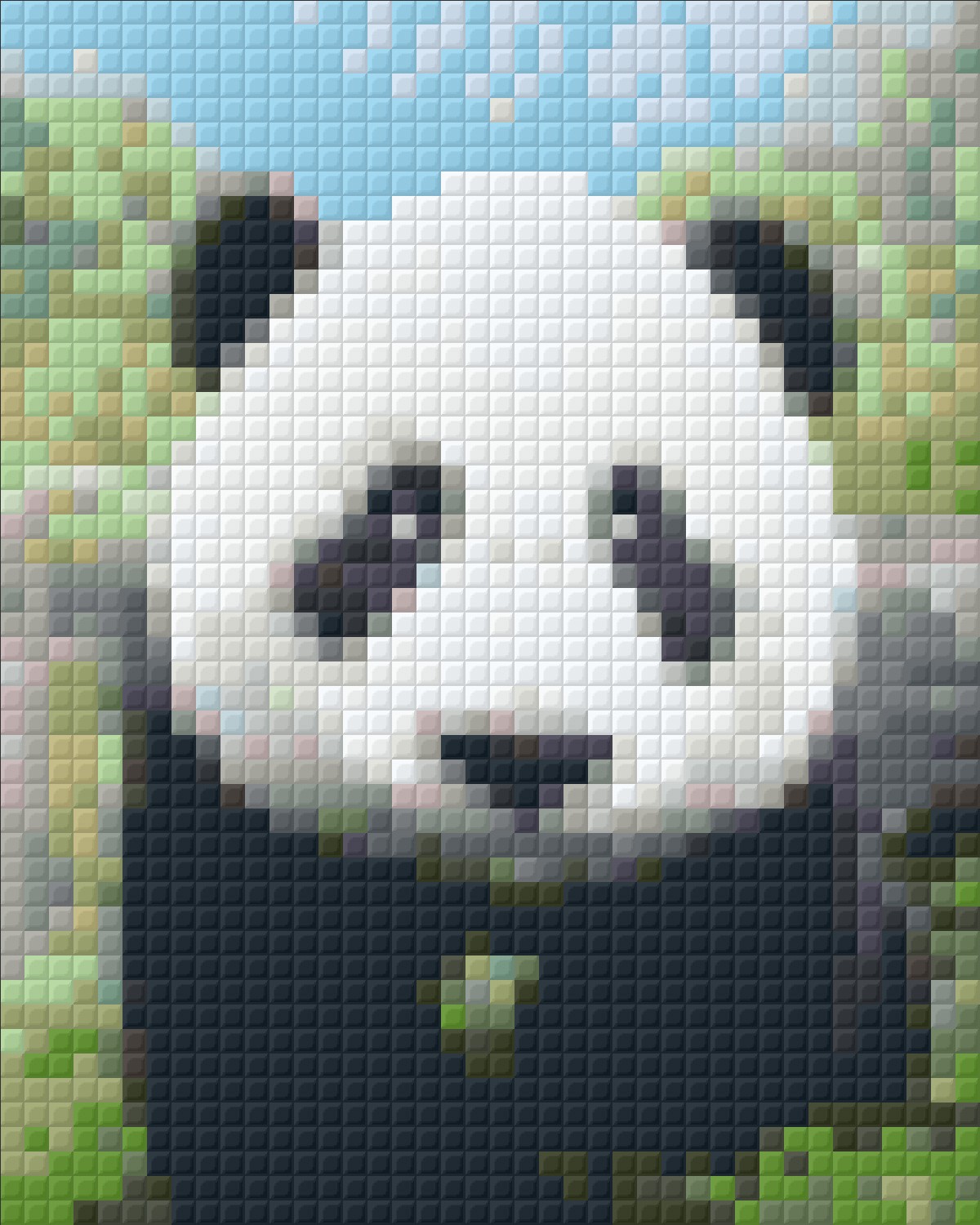 Panda - Grande Kit de Artista